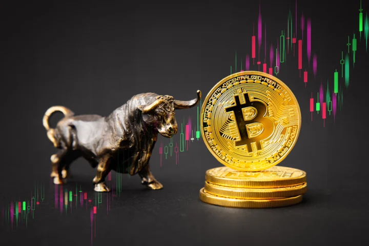 Bitcoin Bull Run: Back on Track or False Hope?